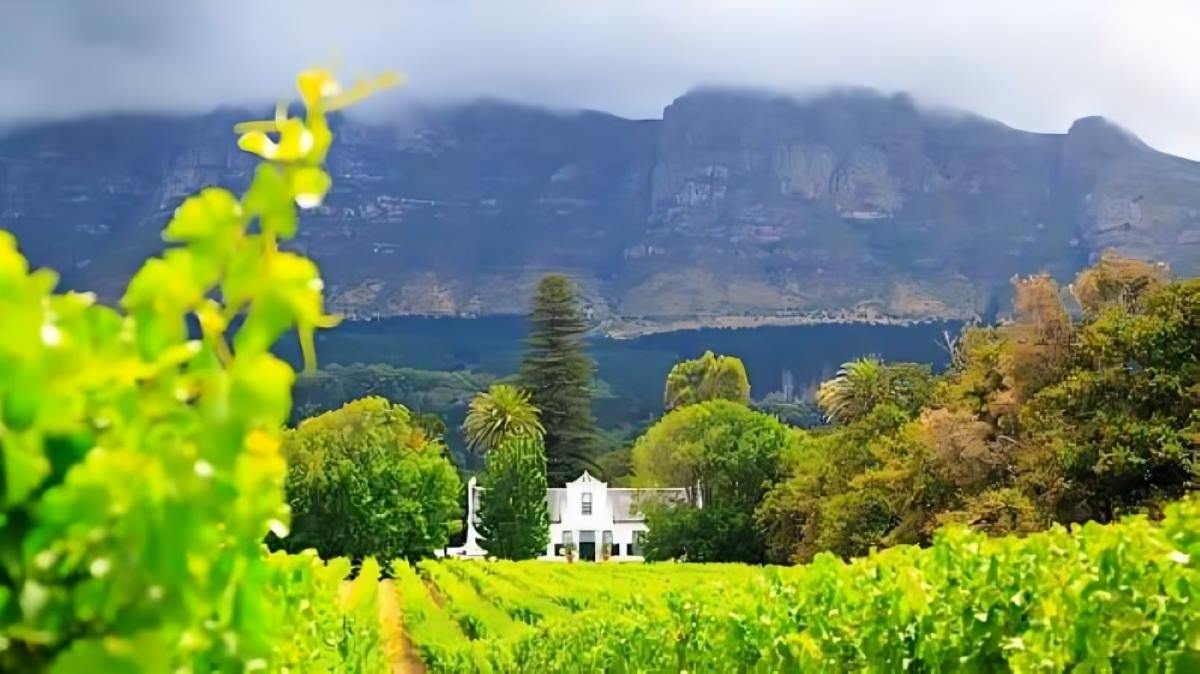 Cape Winelands