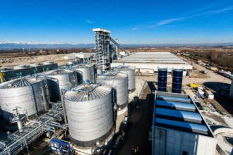 Egypt bioetanol Project