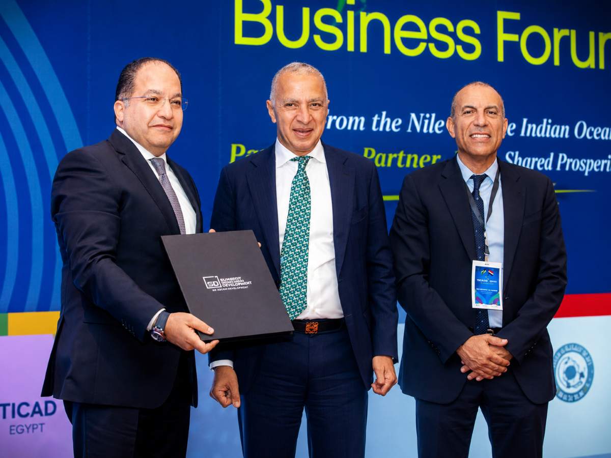 President Abdel Fattah El-Sisi, Ahmed Elsewedy, and H.E. President Samia Suluhu Hassan.