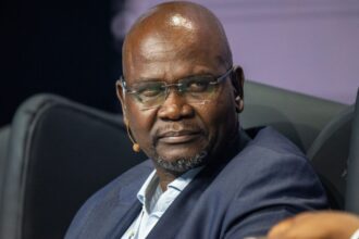Patrick Dlamini, PIC reinstated CEO