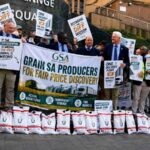 JSE Soybean ruling raises $43 million concern for South Africa’s farmers