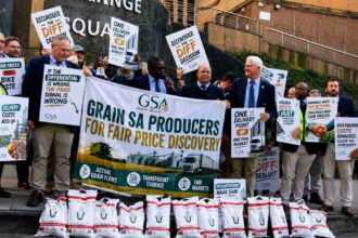 JSE Soybean ruling raises $43 million concern for South Africa’s farmers