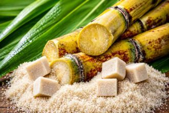 South Africa raises sugar import tariff to protect local producers