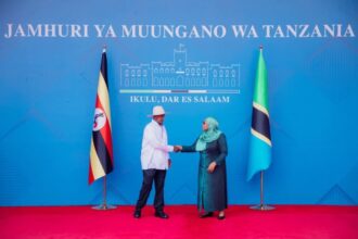 Tanzania, Uganda sign energy deal