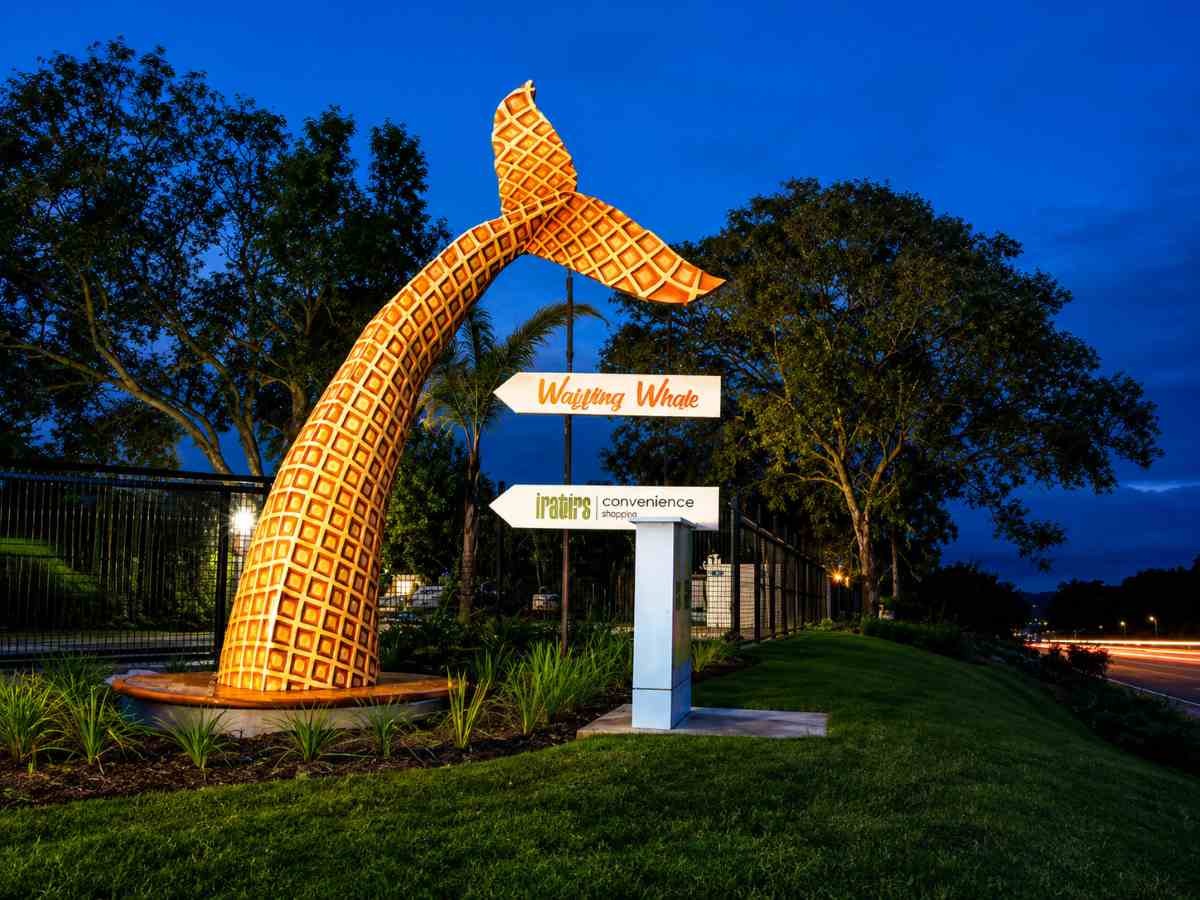 Waffling Whale Tail