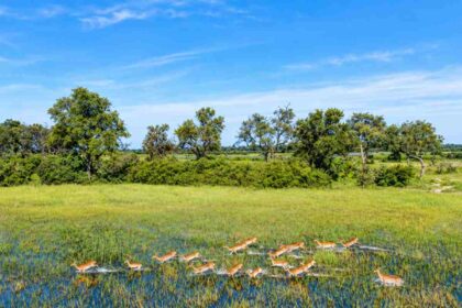 Botswana's high water