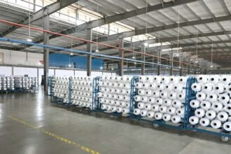 One of Egypt industries