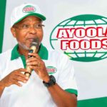 Ayoola Foods