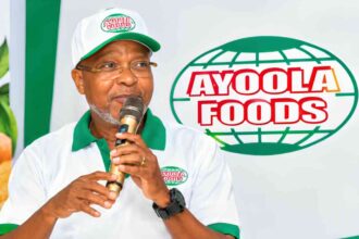 Ayoola Foods