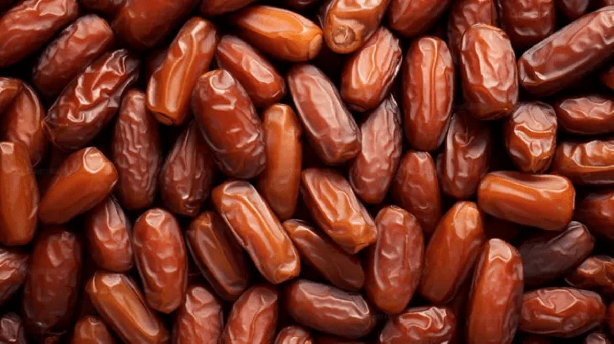 Ethiopia plans 25,000 hectares of date palms to enter global luxury market
