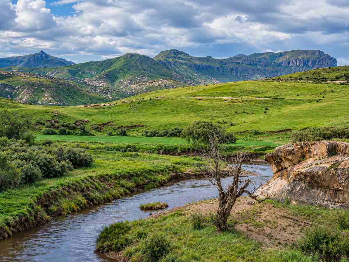 The Grasslands National Park