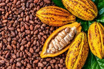 Ghana targets foreign investment to expand cocoa processing industry