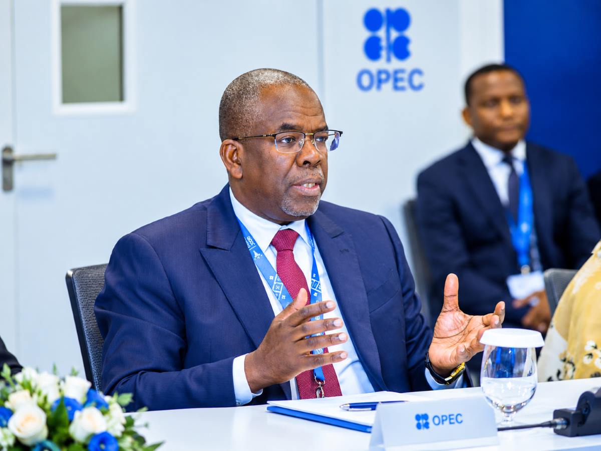 Tanzania targets $42 billion LNG deal to drive Africa’s energy boom