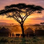 Zimbabwean Farm